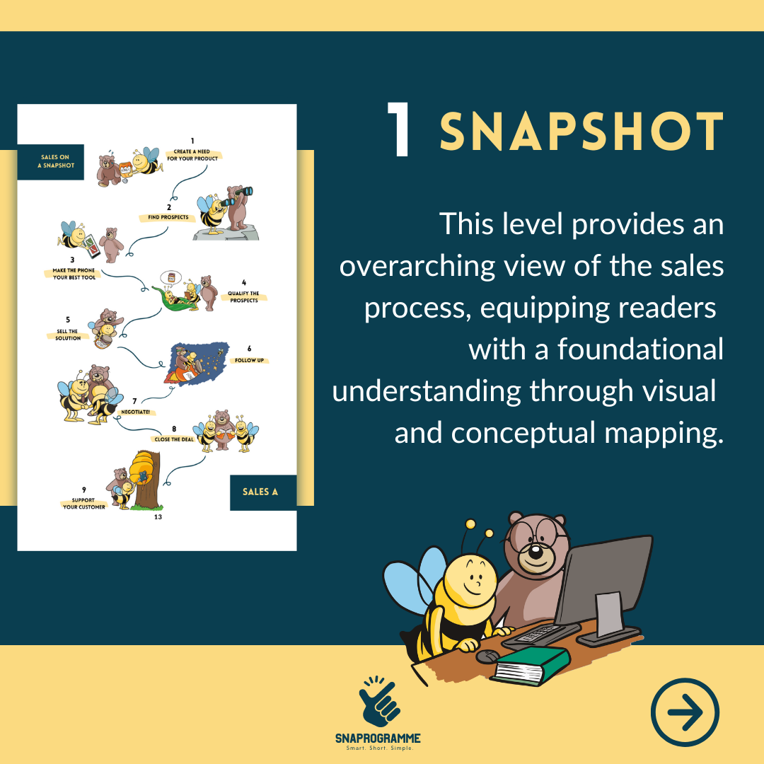 Sales on a Snapshot - eBook