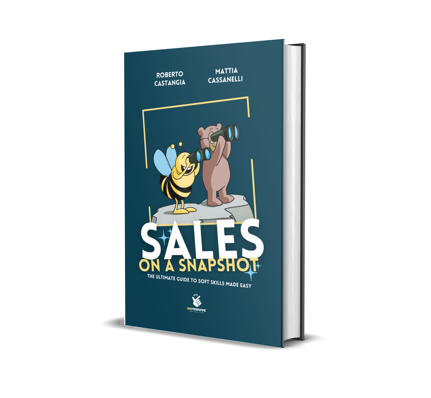 Sales on a Snapshot - eBook